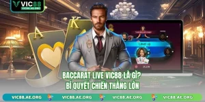 Baccarat live vic88 ảnh đại diện