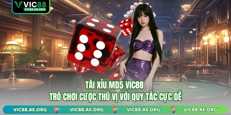Tài xỉu md5 ảnh đại diện
