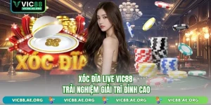 Xóc đĩa live vic88 ảnh đại diện
