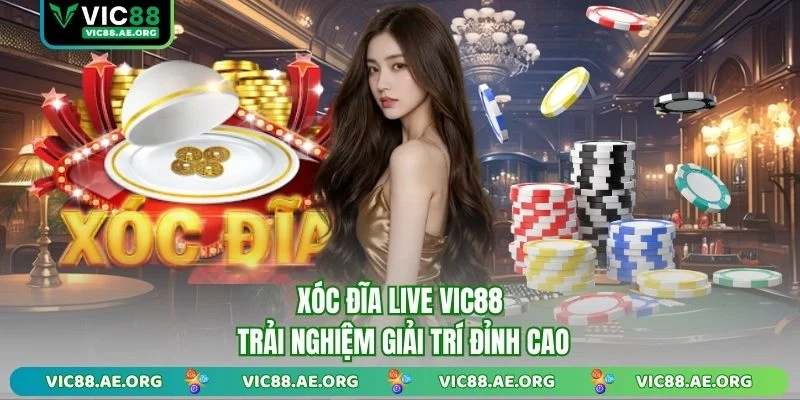 Xóc đĩa live vic88 ảnh đại diện
